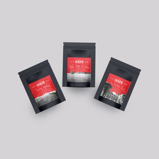 Drip Coffee 10-Pack Mix (Limited Edition)